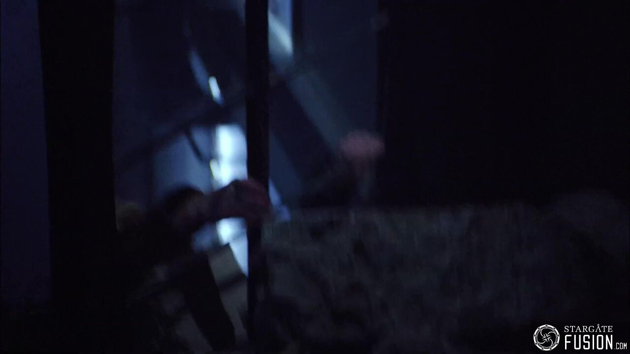 Novus