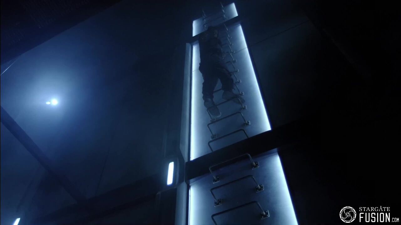 Novus