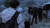 Les enfants du Destinée