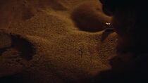 Épisode 9