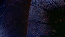Stargate, la porte des étoiles