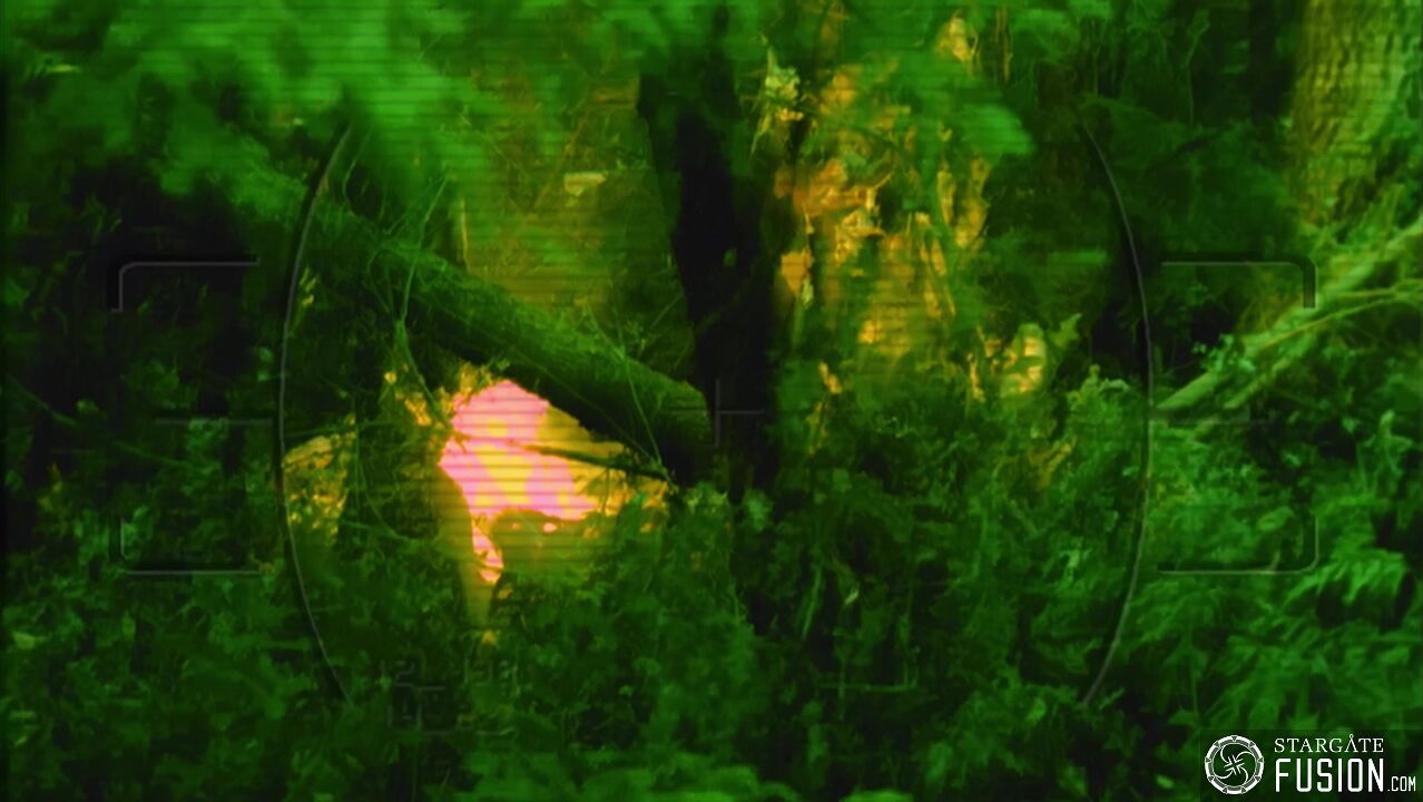 La théorie de Broca