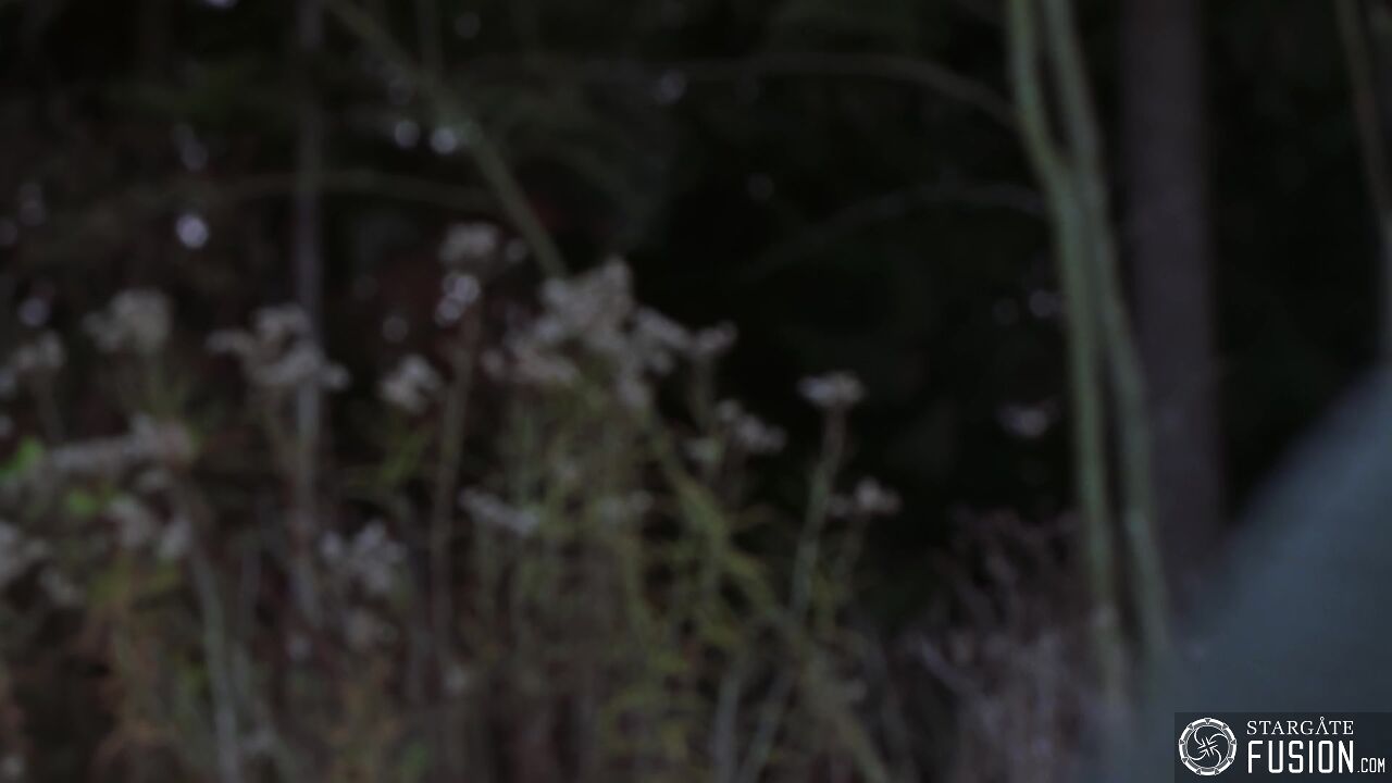 Le faux pas