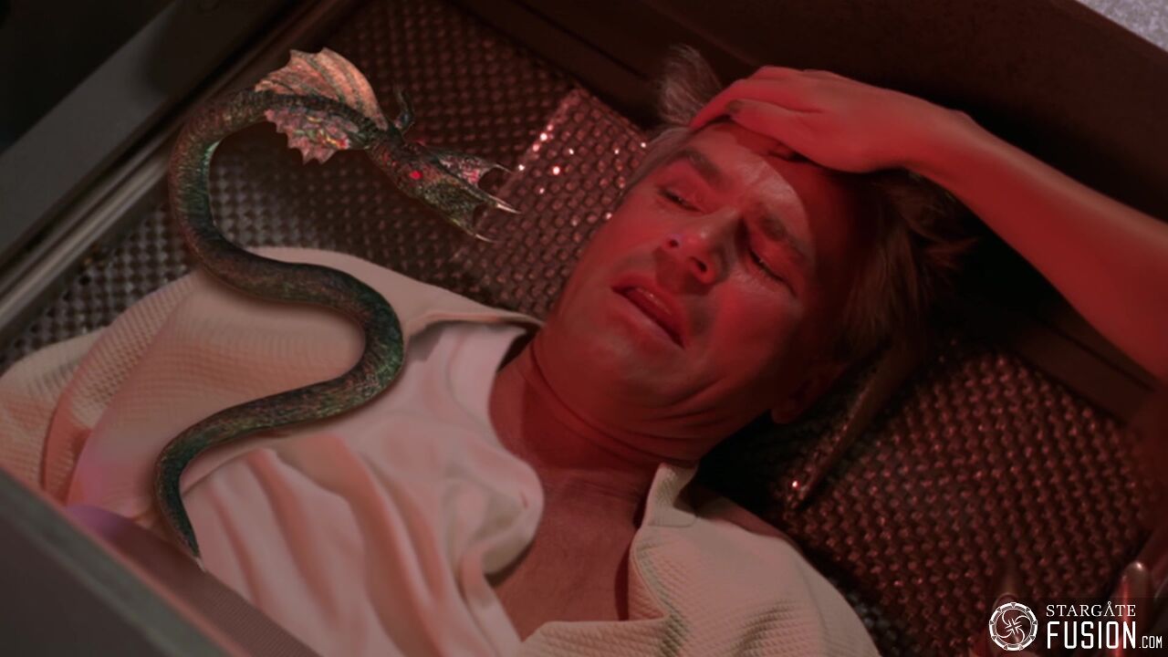 Dans l'antre des Goa'ulds
