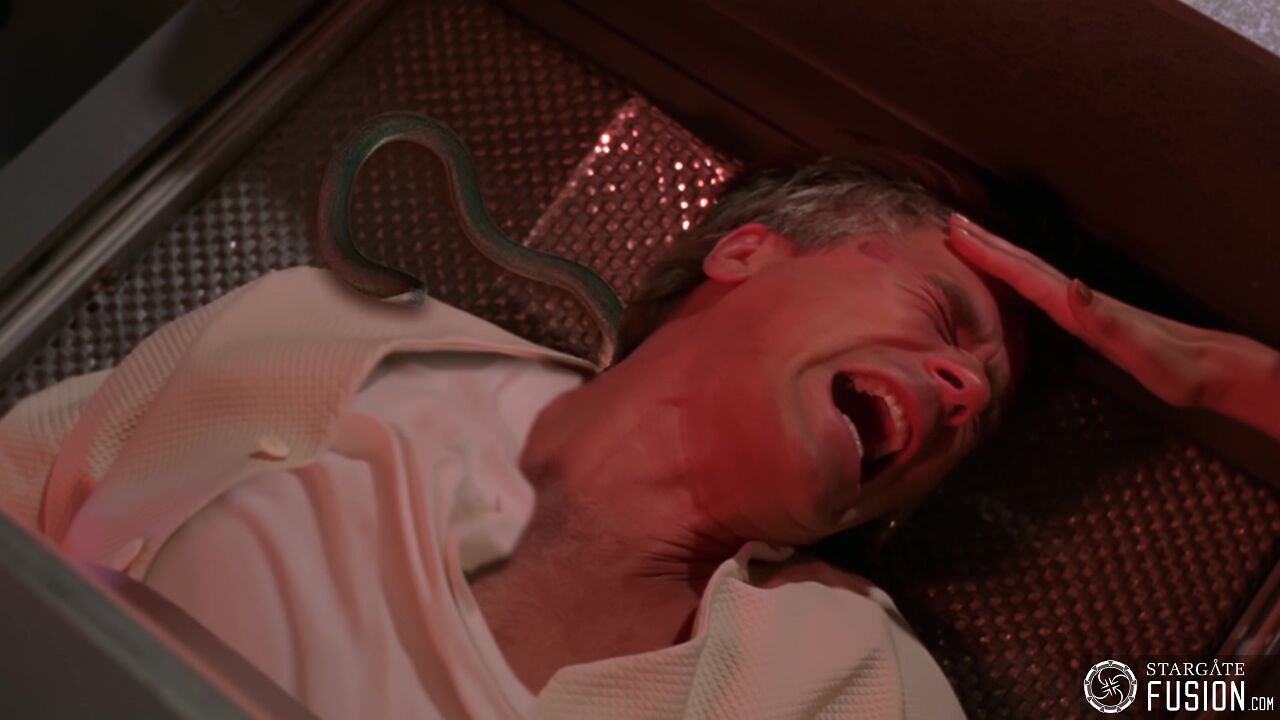 Dans l'antre des Goa'ulds