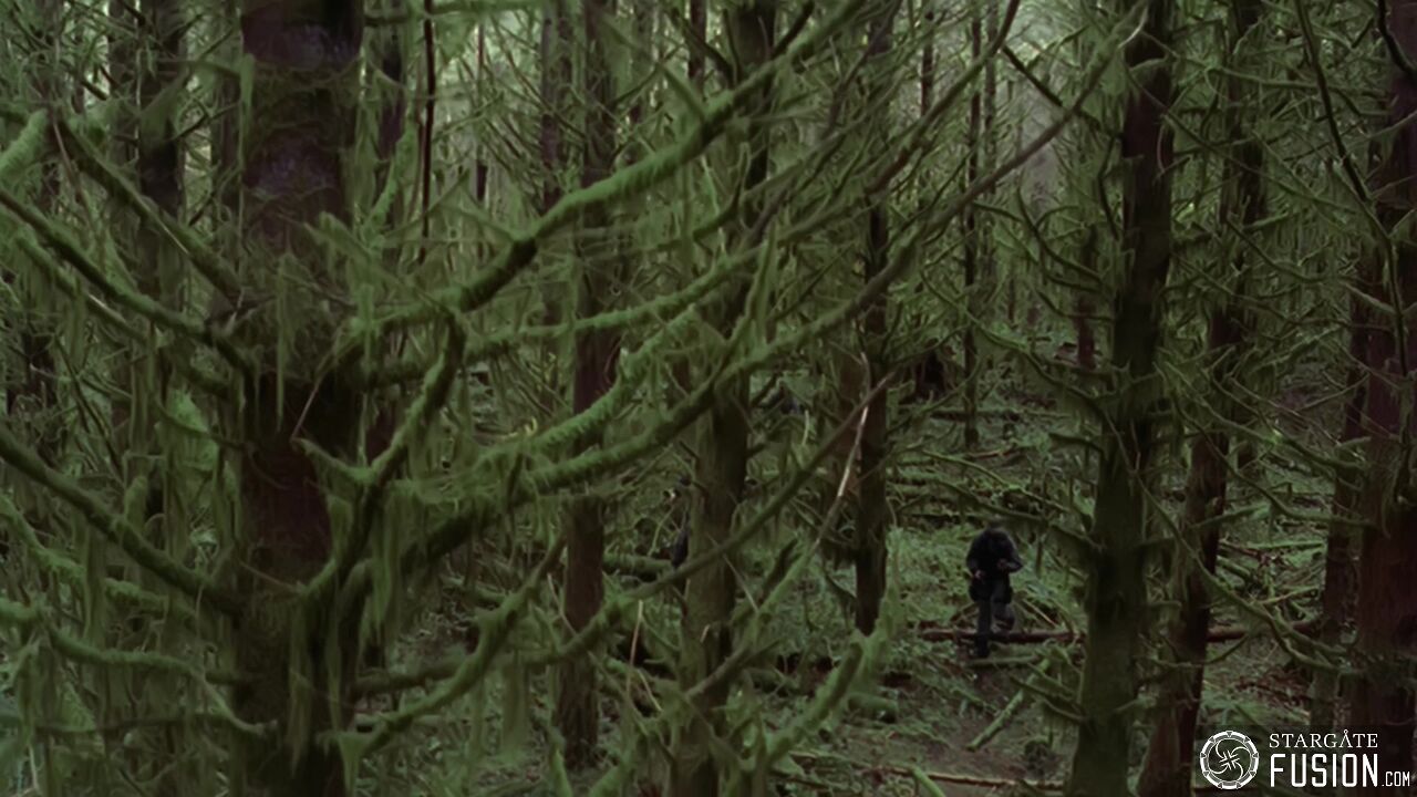 Le chasseur de primes
