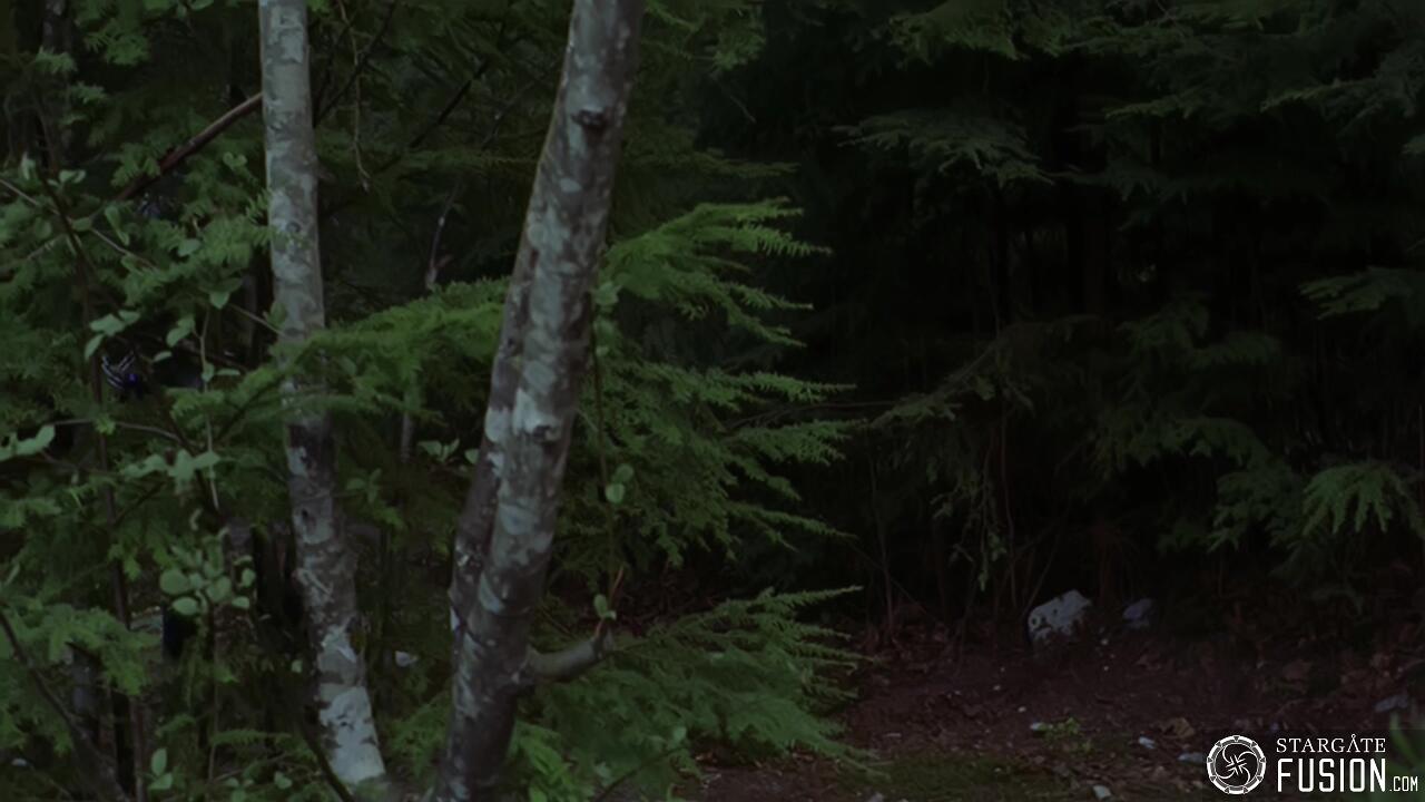 Le chasseur de primes
