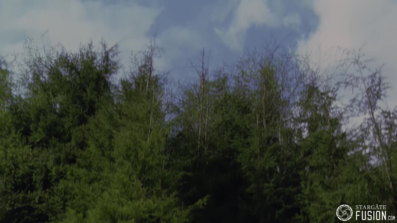 Le chasseur de primes