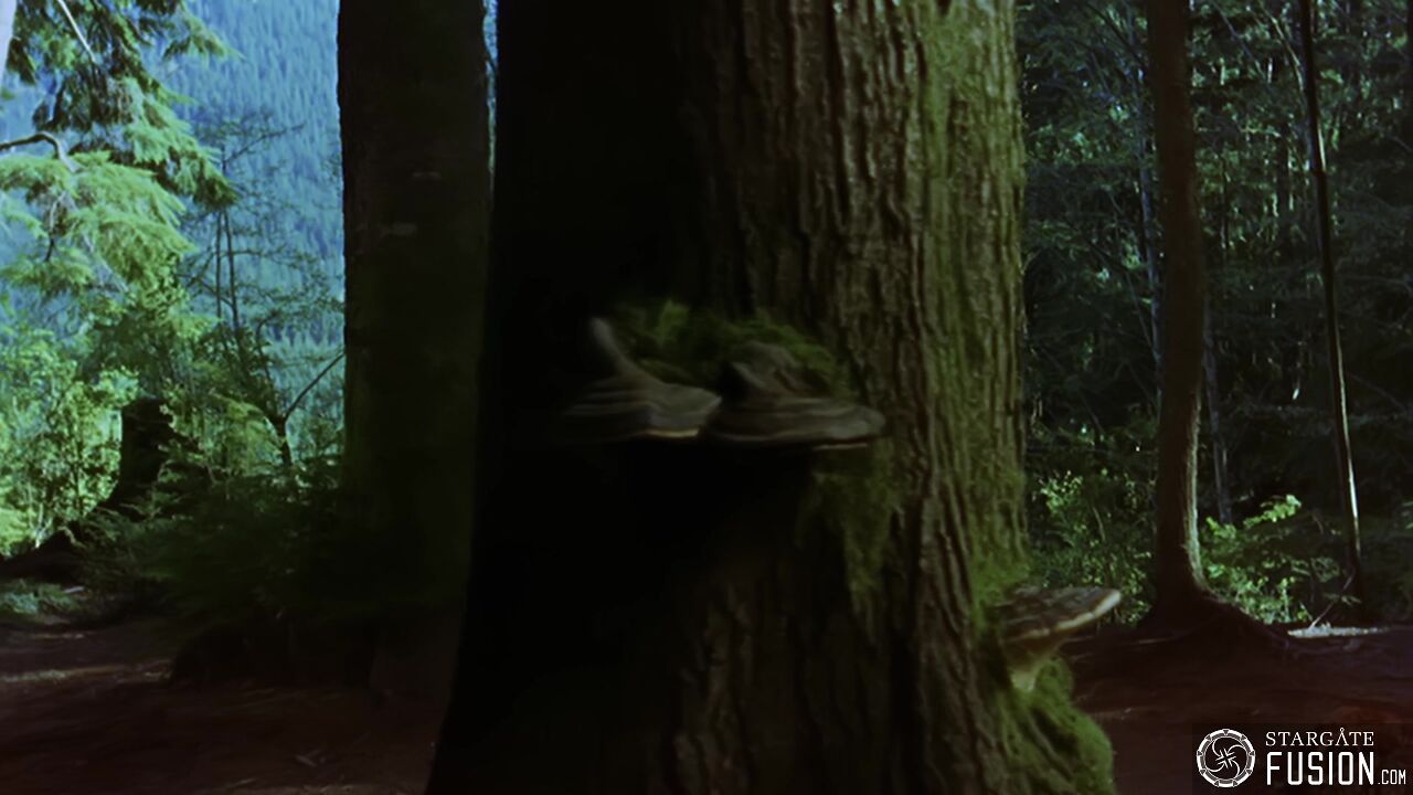 Le chasseur de primes