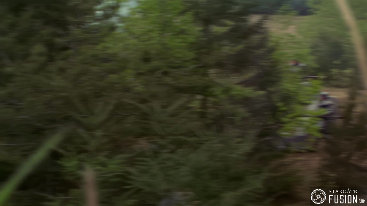 Règles de combat
