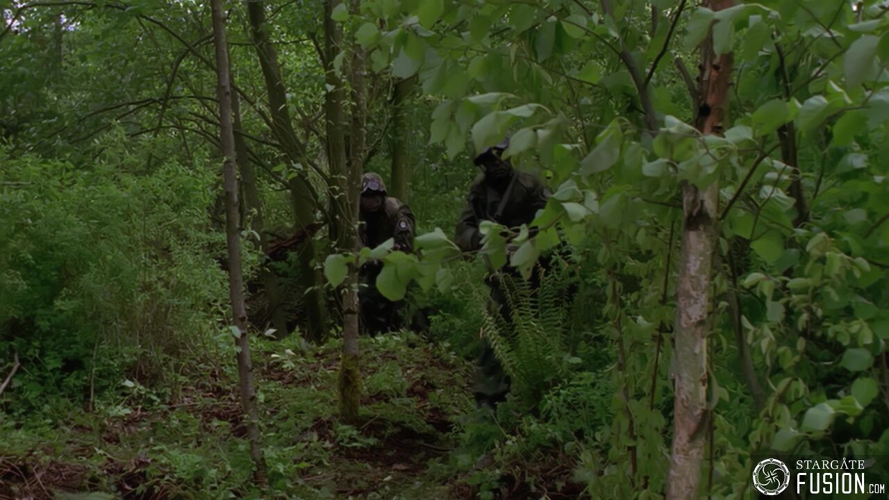 Règles de combat