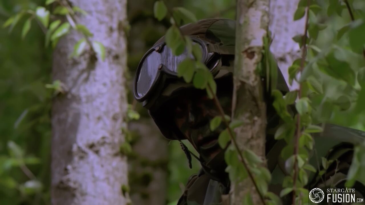 Règles de combat