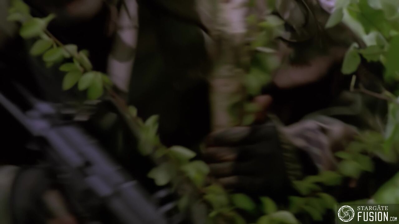Règles de combat