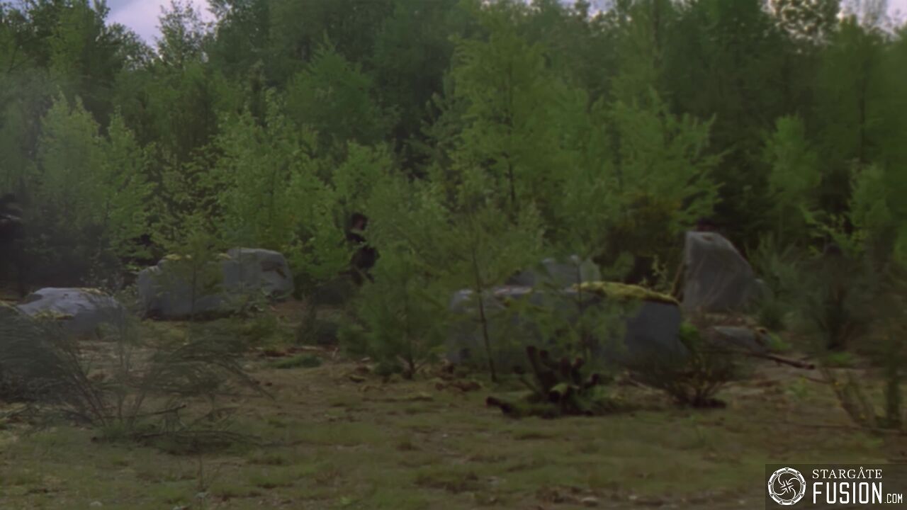 Règles de combat