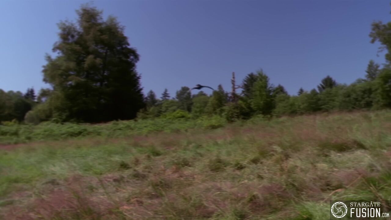 Simulation