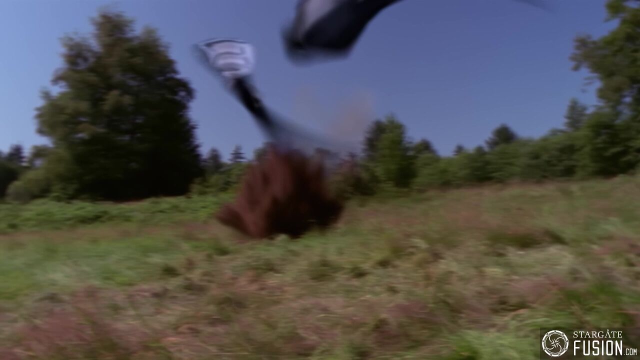 Simulation