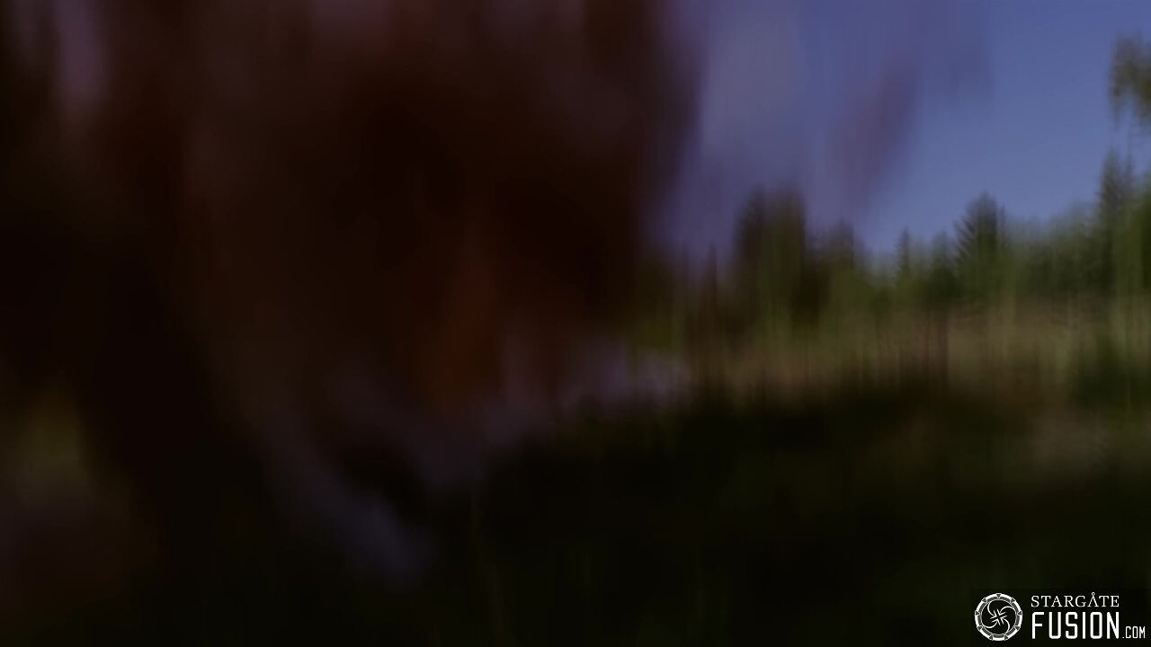 Simulation