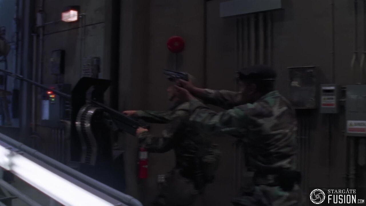 Simulation