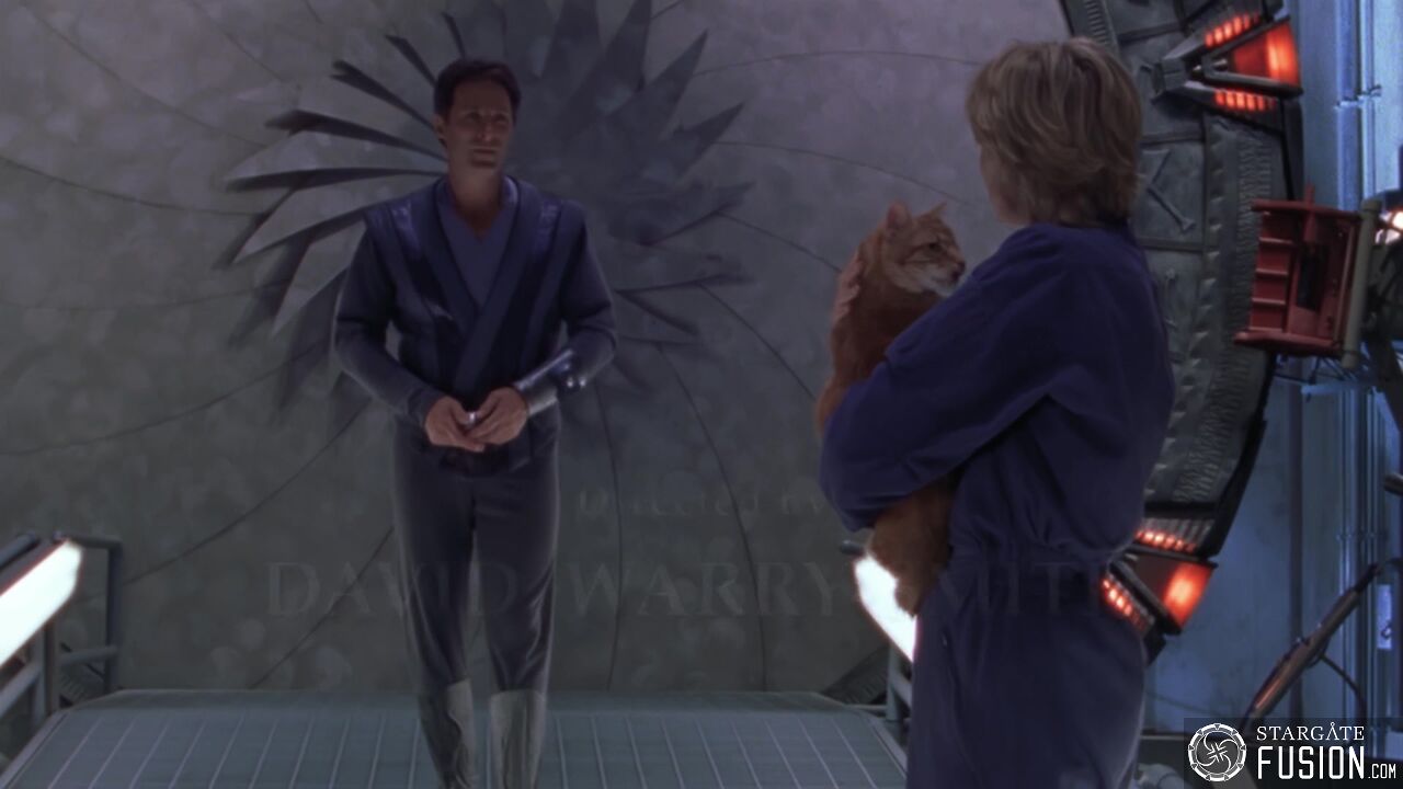 Simulation