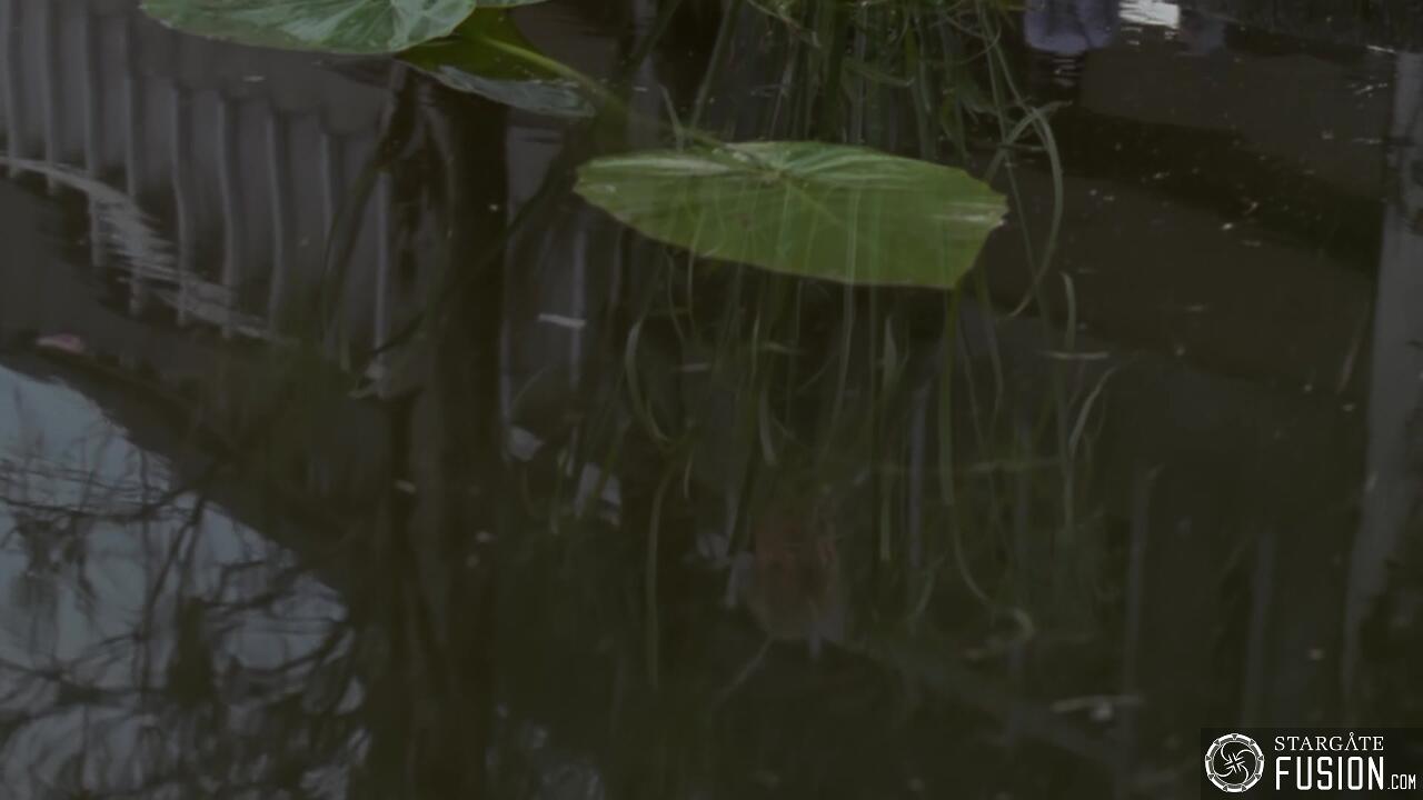 Simulation