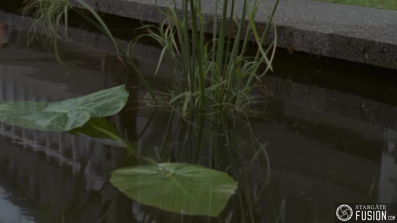Simulation