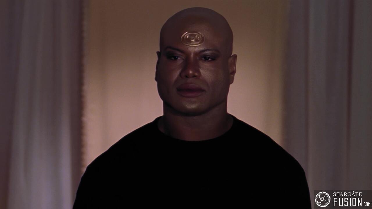 Simulation