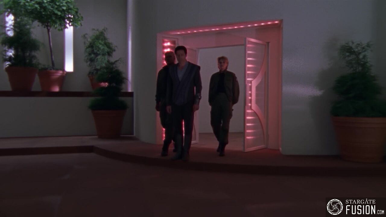 Simulation
