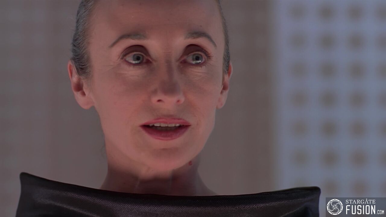 Simulation