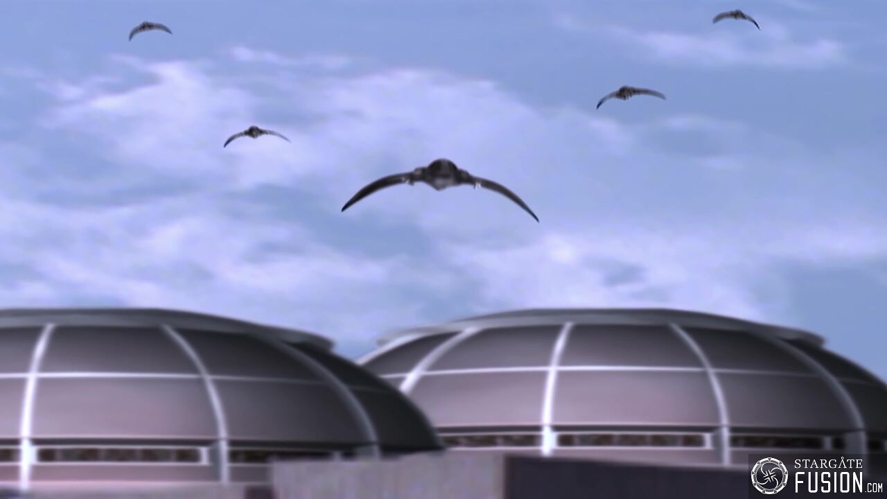 Simulation