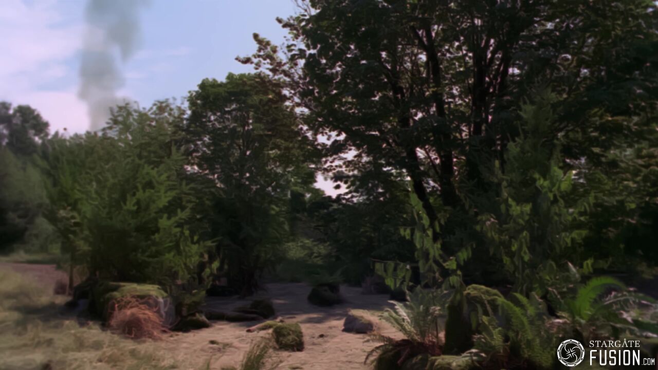 Simulation