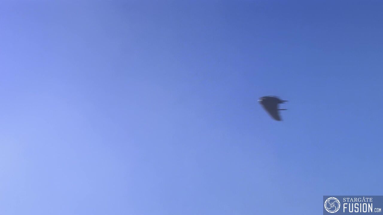 Simulation