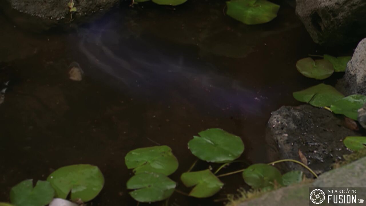 Instinct maternel