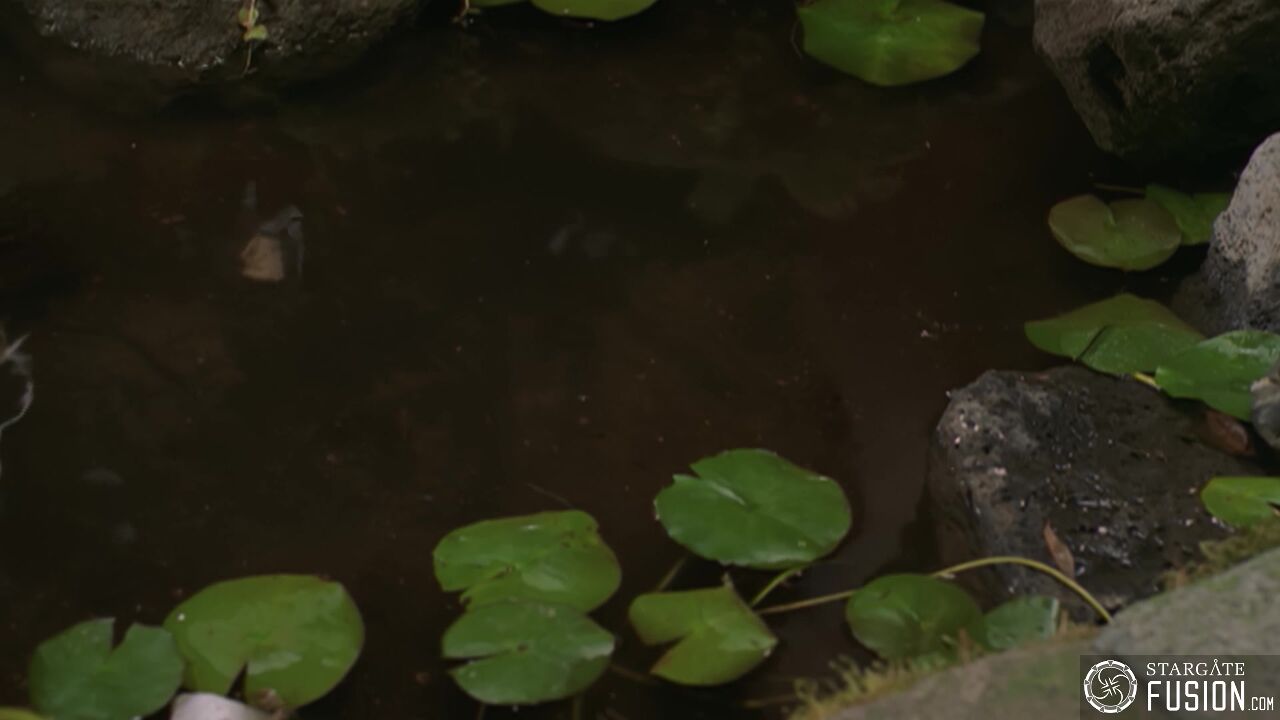 Instinct maternel