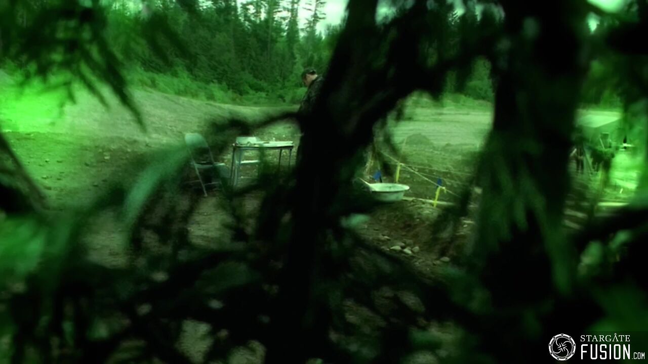 Primitifs