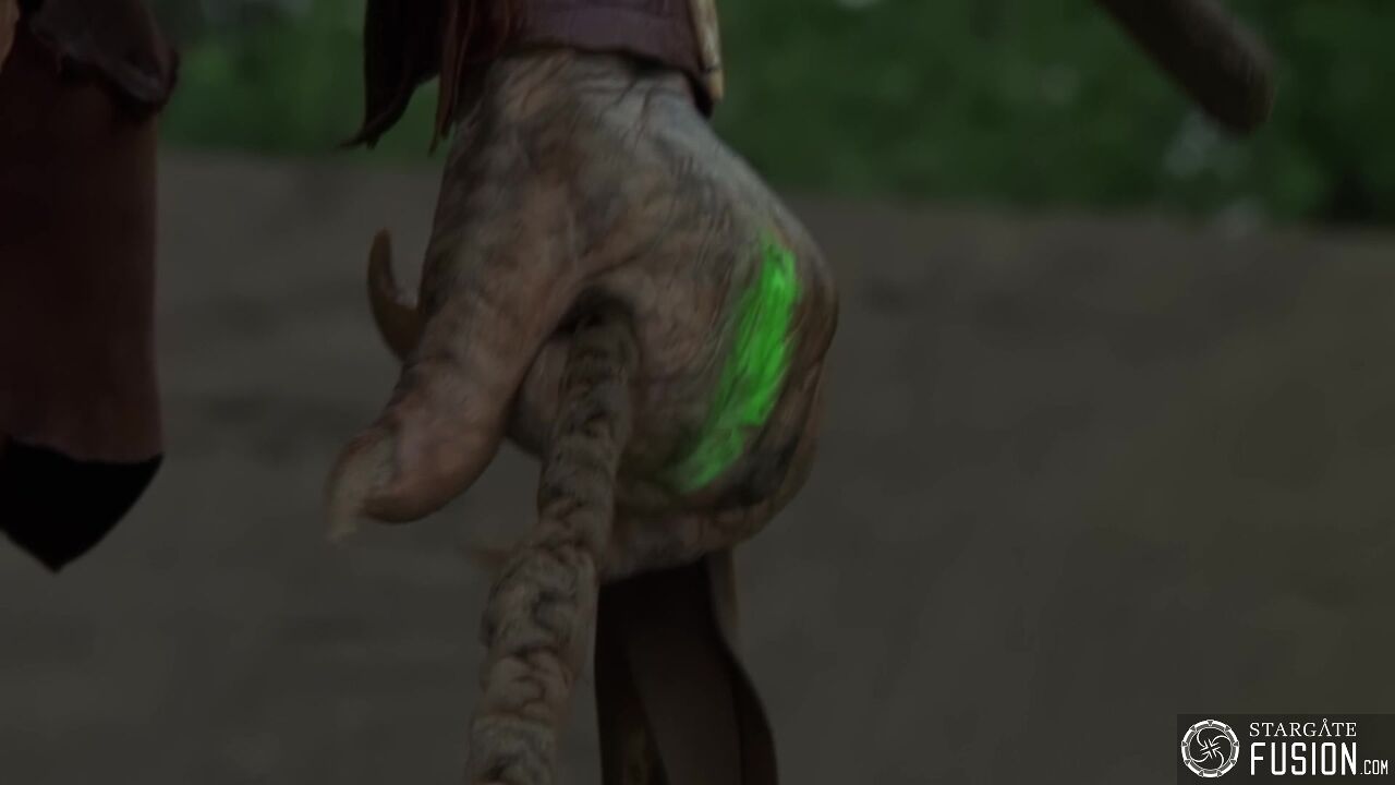 Primitifs