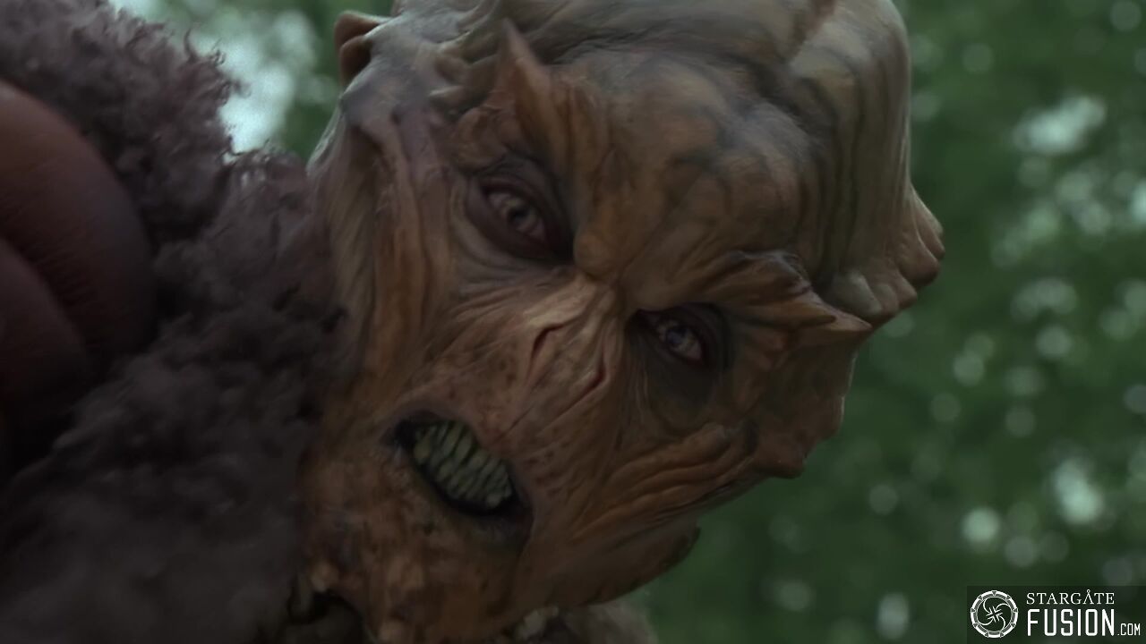Primitifs