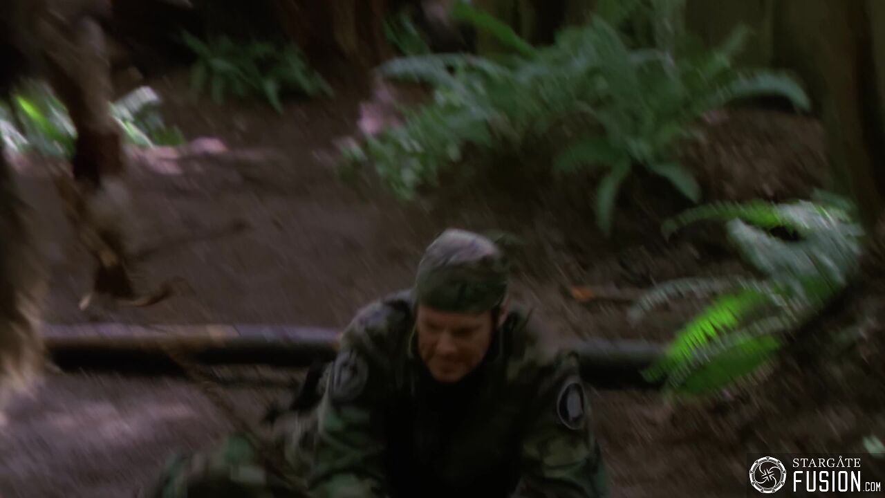 Primitifs