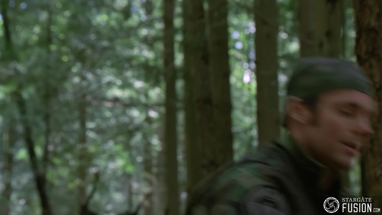 Primitifs