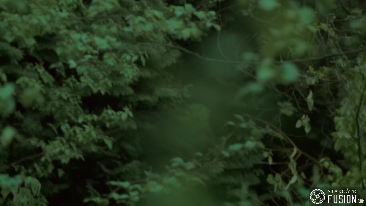 Primitifs