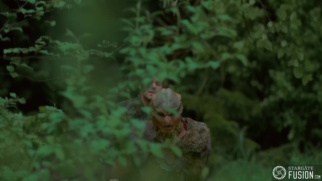 Primitifs