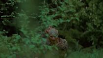 Primitifs
