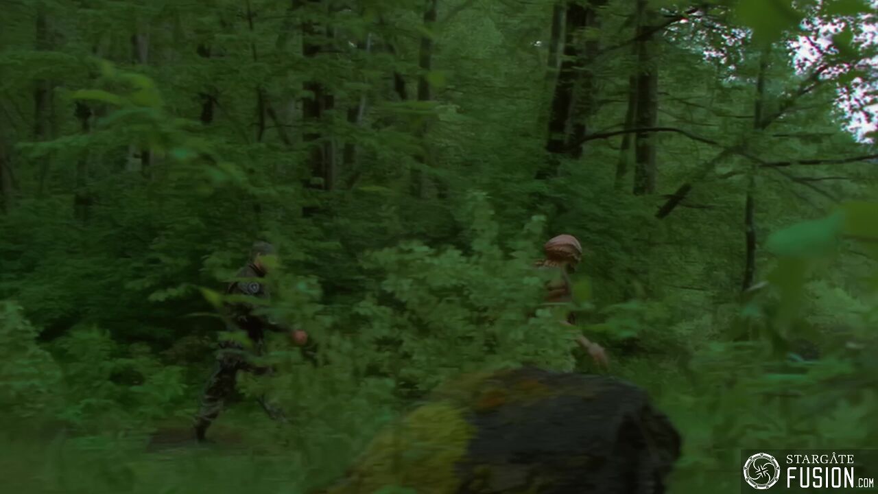 Primitifs