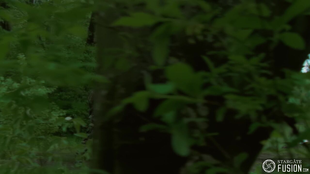 Primitifs