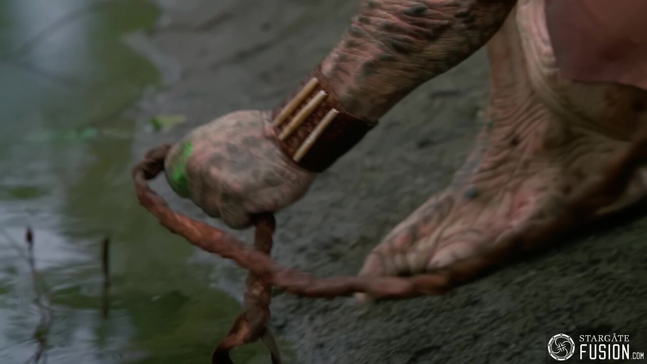 Primitifs