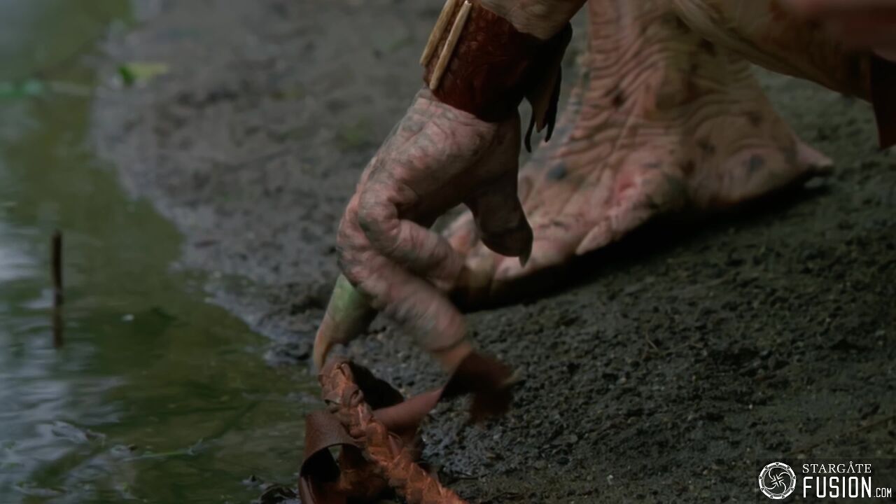 Primitifs
