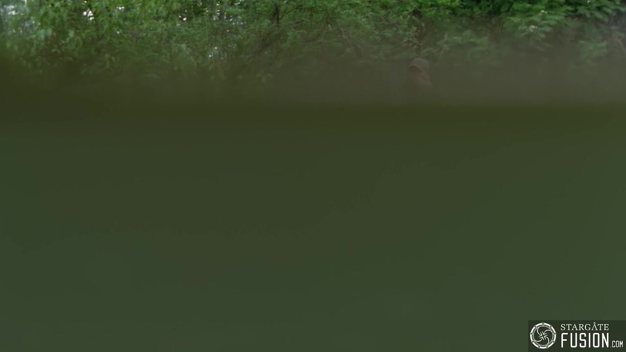 Primitifs
