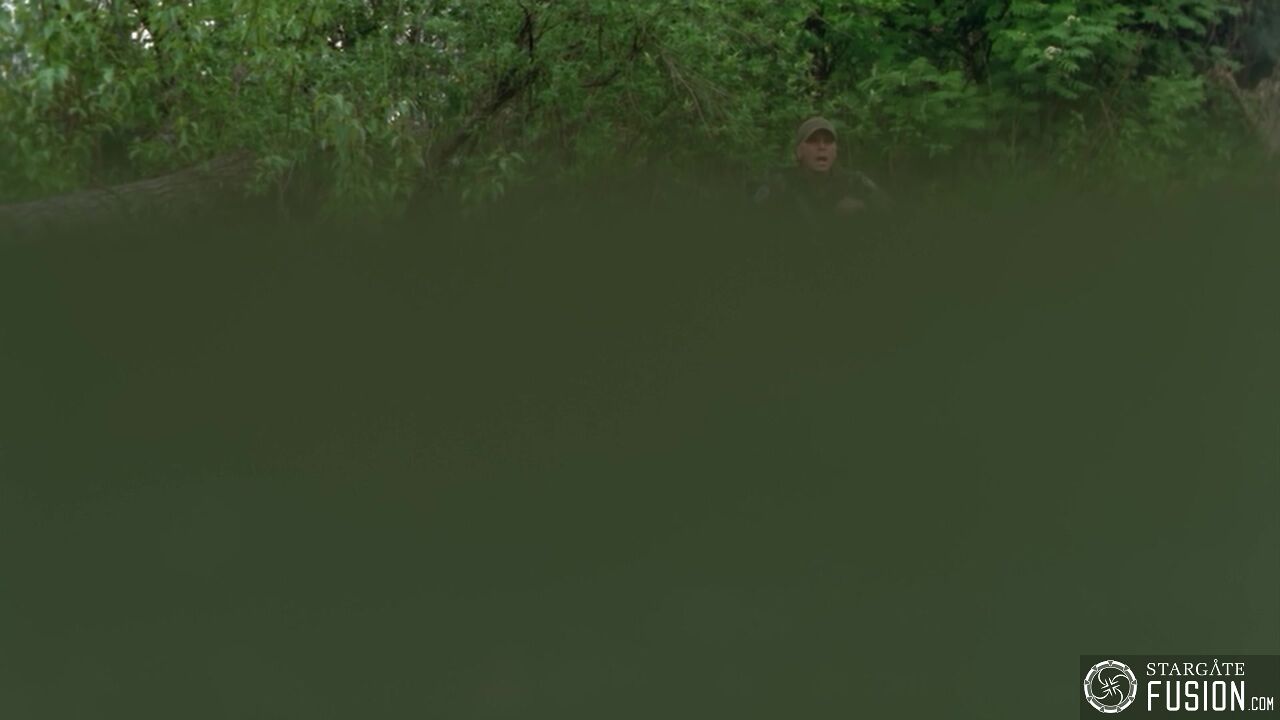 Primitifs