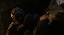 Primitifs