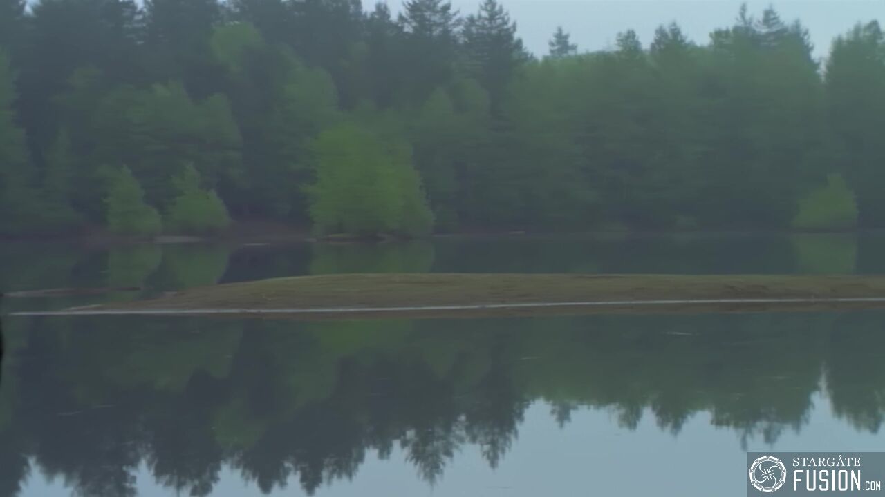 Primitifs