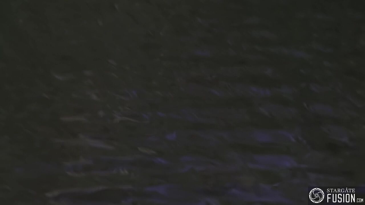 Primitifs